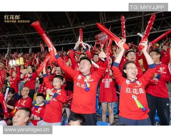 成都排球队灵活性引发热议球迷与专家观点碰撞激烈