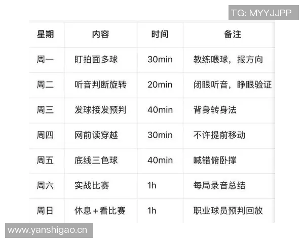 武汉网球队在世界锦标赛中的表现分析与状态评估