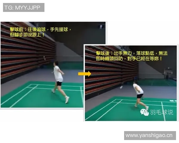 深圳羽毛球队区域防守策略解析与深度剖析