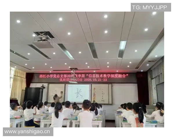 周娜深度分享排球技巧与心得体会助你提升竞技水平