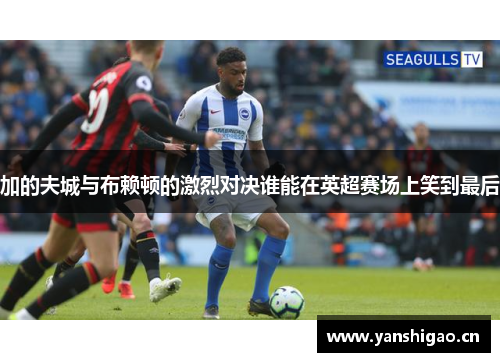 加的夫城与布赖顿的激烈对决谁能在英超赛场上笑到最后